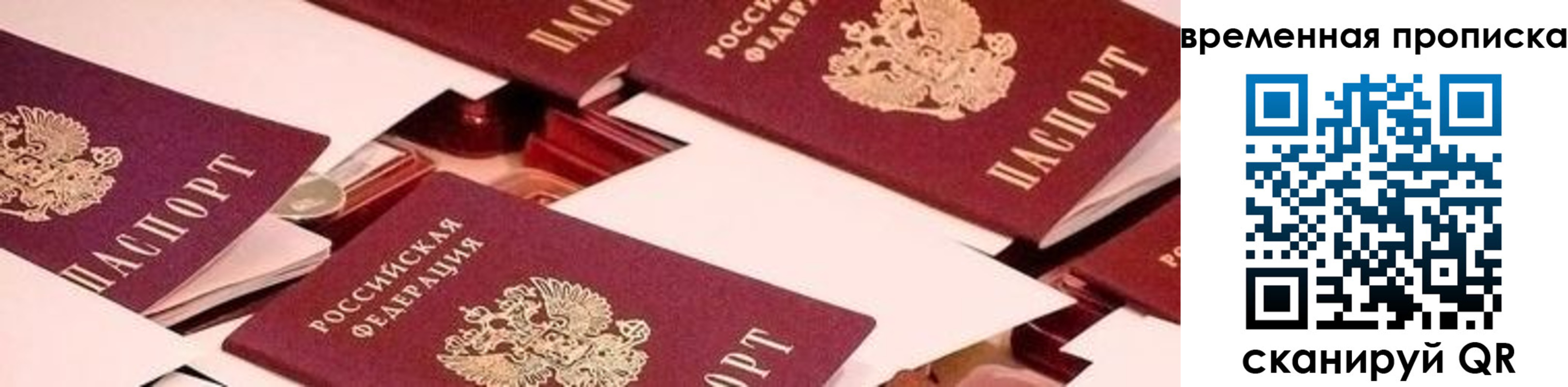временная регистрация гарантия в Сафоново